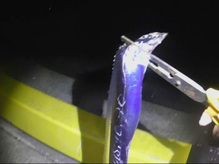 遅い時間から釣行